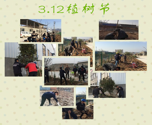 寶雞捷銳“迎春風(fēng)，綠家園”植樹(shù)節(jié)(圖3)